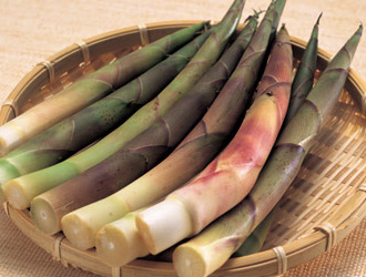 たけのこの保存は冷凍・冷蔵・塩漬けで長持ち！適切なやり方を紹介 - くらしトライ