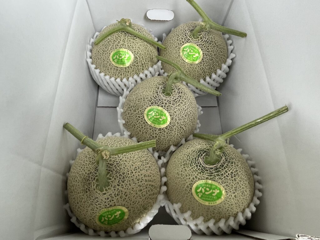 山形庄内砂丘メロンの旅 庄内砂丘メロンメロン山形メロン庄内メロン自宅用農家直売産直しゃきっと振る舞いメロンガTikTok