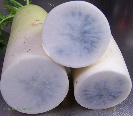 黒大根 黒長大根 くろながだいこん：旬の野菜百科