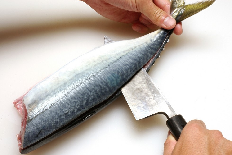 さばのさばき方だいどこログ 生協パルシステムのレシピサイト