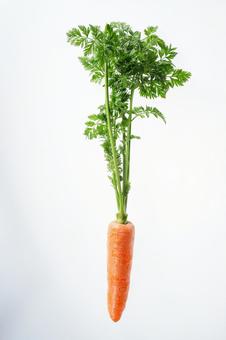 お野菜おもちゃの製作現場を密着取材してきました商品開発のうらがわ楽しい、猫雑貨店 be-glad store ねこ