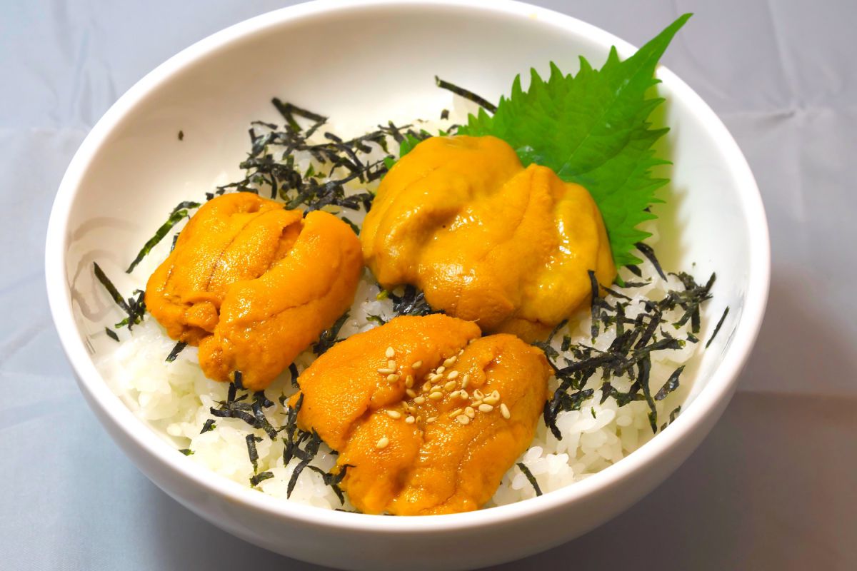 絶品うに丼4種比較！築地の赤門で味わう