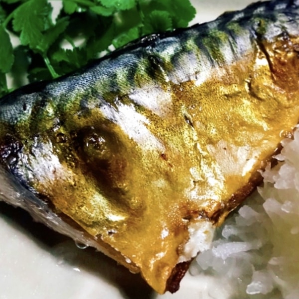 アジの干物の作り方日本酒専門WEBメディア「SAKETIMES」