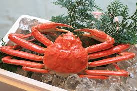 るんたった航空さん・「ズワイガニの甲羅の黒い粒