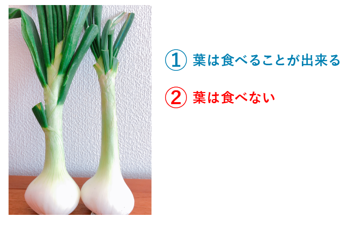 玉ねぎ抜き苗 品種：ネオ・アース 中晩生野菜の苗 約50本 束植物のＩＴＡＮＳＥ 全品送料無料・即出荷