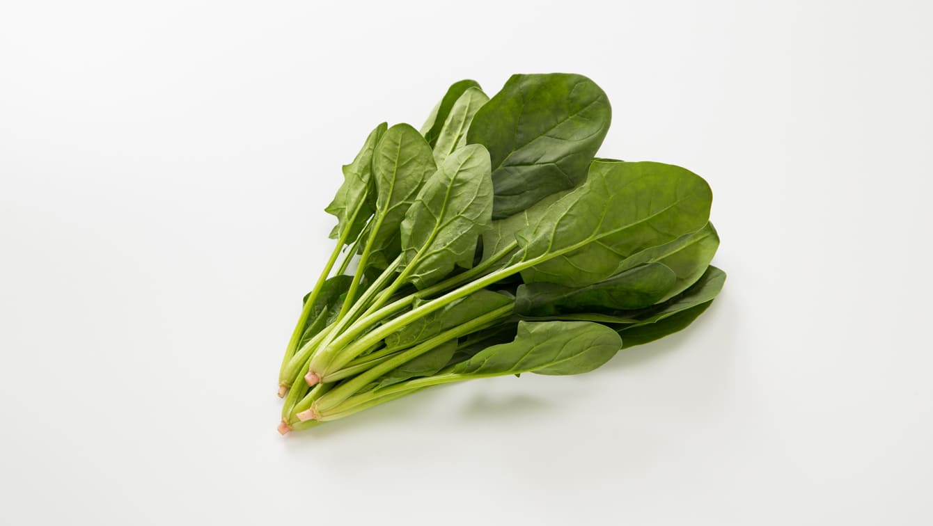 ほうれん草洛市は京都の伝統と文化をお届けします