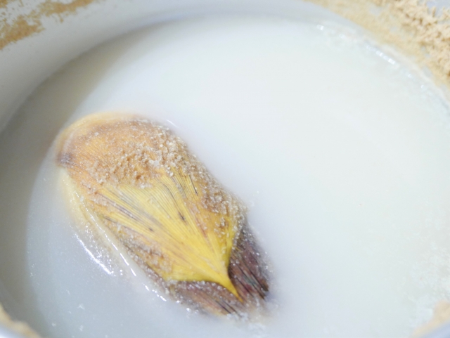 たけのこのあく抜き坂ノ途中100年先もつづく、農業を