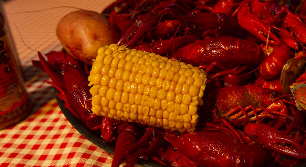 ルイジアナ州ニューオーリンズ：この街で最高の食を見つける場所Visit the USA