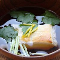 三つ葉の栄養とは？爽やかな香りが料理を引き立てる！ おすすめレシピ付公式 まごころケア食