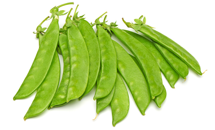 茶豆100％ カップあん 自家製ずんだあん300ｇ鯛きち