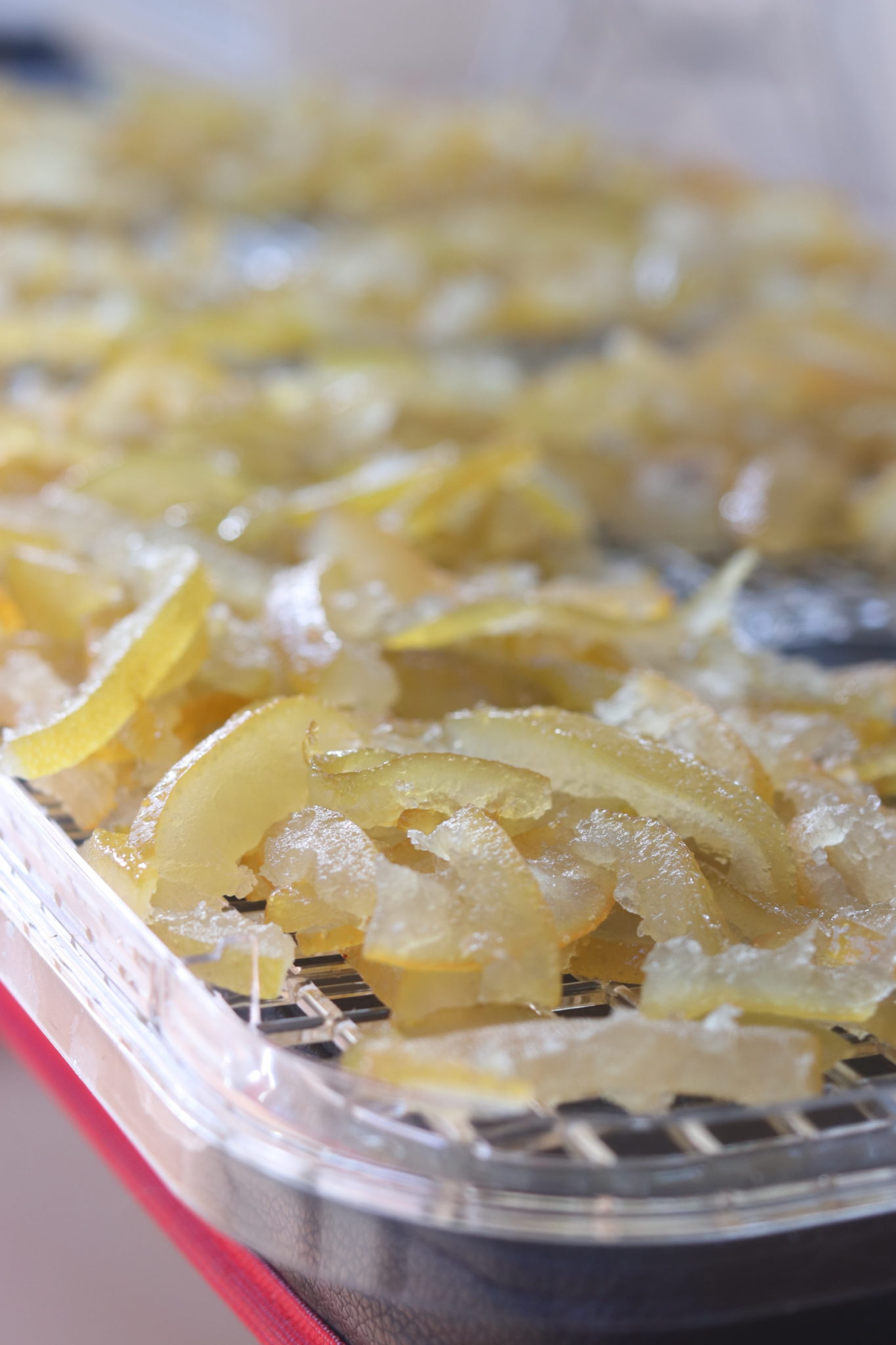 自家製レモンピールのレシピ・作り方お菓子・パン材料・ラッピングの通販 cotta＊コッタ