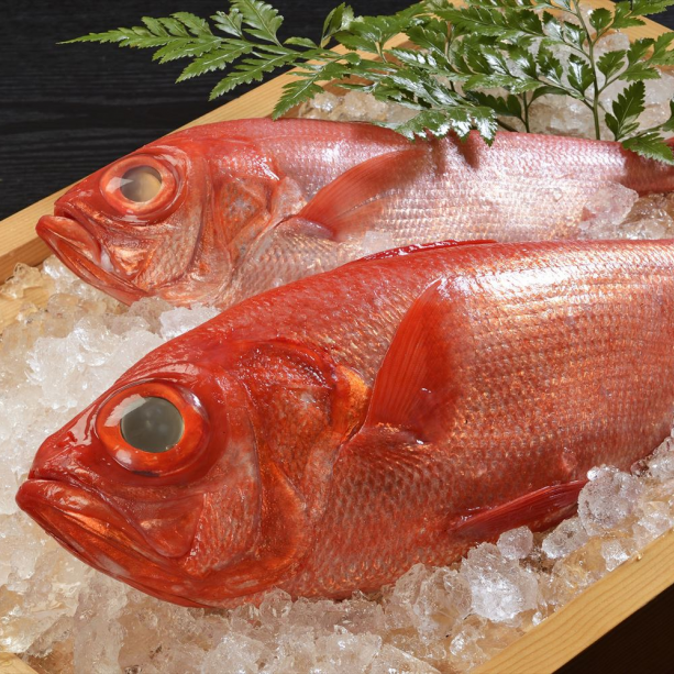 これ全部「○○鯛」！一番タイっぽくないタイはどれだ！？ :: デイリーポータルZ