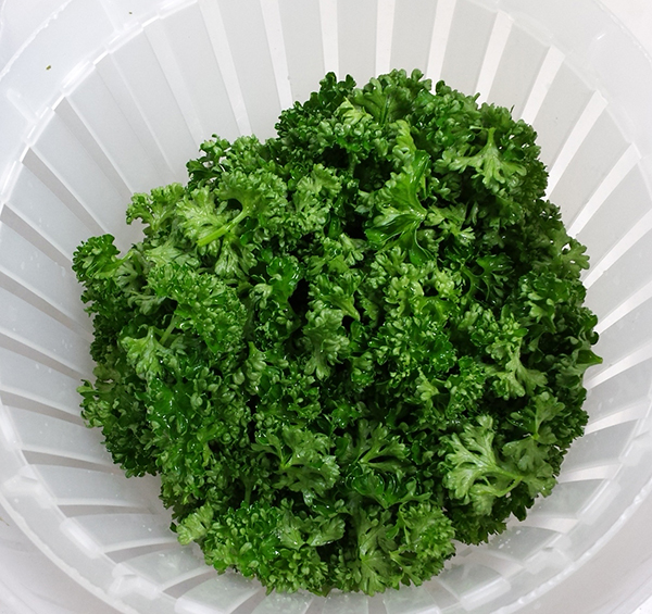 パセリの代用品 12選 バジル・青のり・オレガノは代わりになる？おすすめ代替品を紹介！代用品お探しサイト 困った時に役立つ カワルン