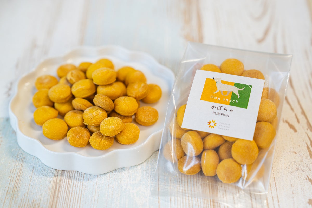 2022年３年ぶり「フローランテ宮崎 イルミネーションフラワーガーデン」Part1日々ブログ MORIMORI ＠宮崎県