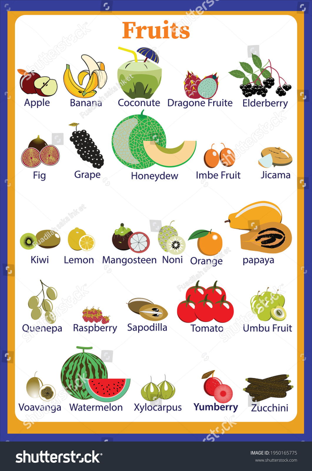 果物の品種一覧