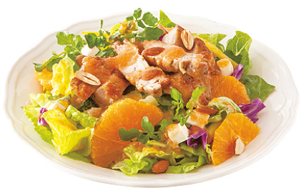 満足感たっぷり！無理せず美味しいパワーサラダとはコラム Ash オフィシャルサイト