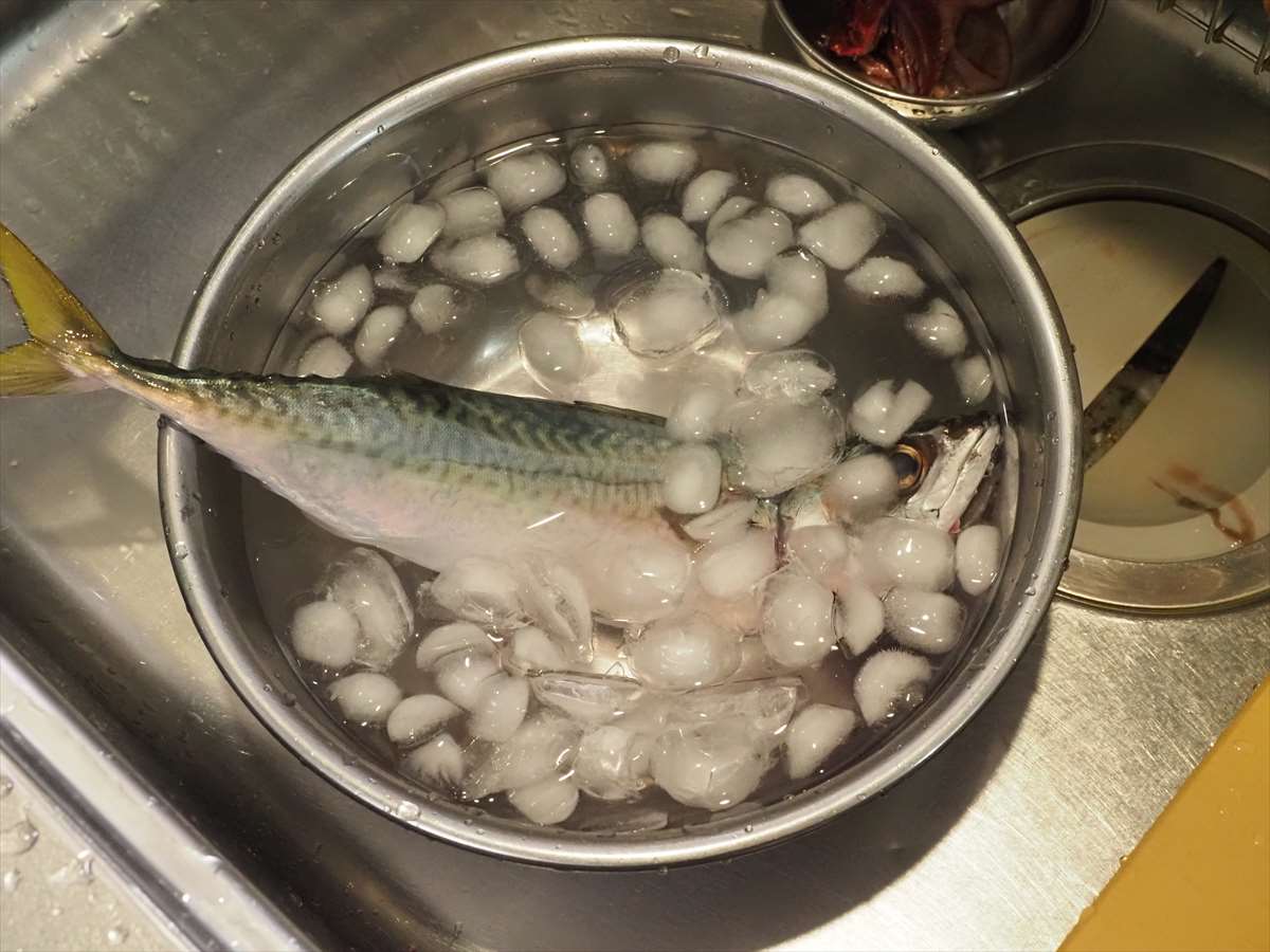 狙いは関サバの刺身 - 関あじ・関さば館のクチコミ - じゃらんnet