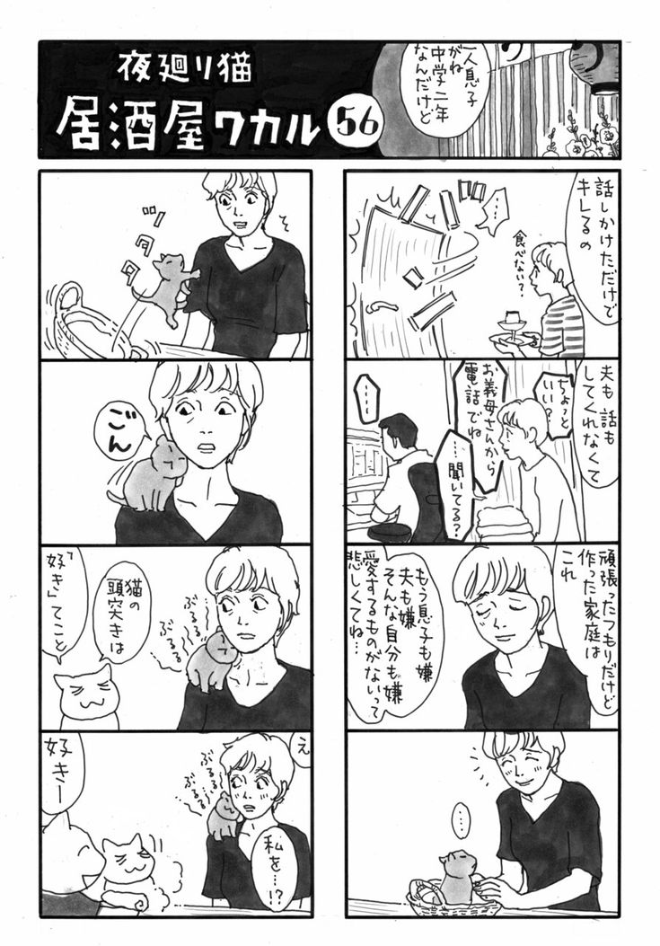 夜廻り猫 居酒屋ワカルワイドKC深谷 かほる 本通販Amazon