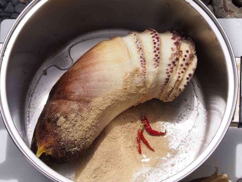 旬の「たけのこ」が大量に届いたので、アク抜きからチャレンジしてみた - メシ通ホットペッパーグルメ