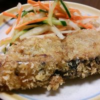 高知県出身の宮地が教えるかつおの美味しい食べ方～駅前情報局愛知県知多半島に展開するパチンコ有楽グループ