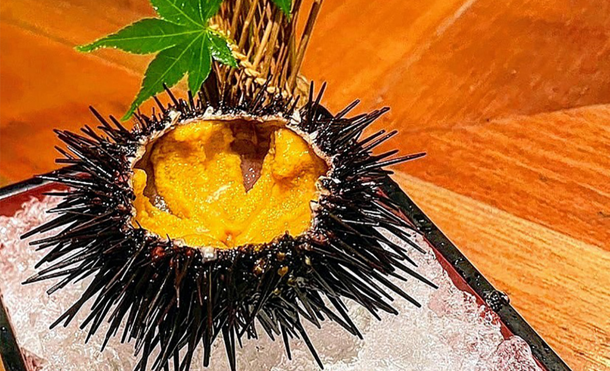 ウニの中身を徹底的に紹介！体の構造についても教えちゃいます - 北海道食材専門㋚元八商店 ブログ北海道食材専門㋚元八商店