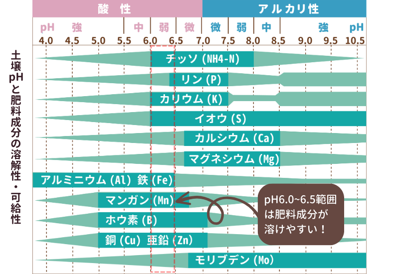 家庭菜園 トマトに施す追肥のタイミングと見分け方しま農研