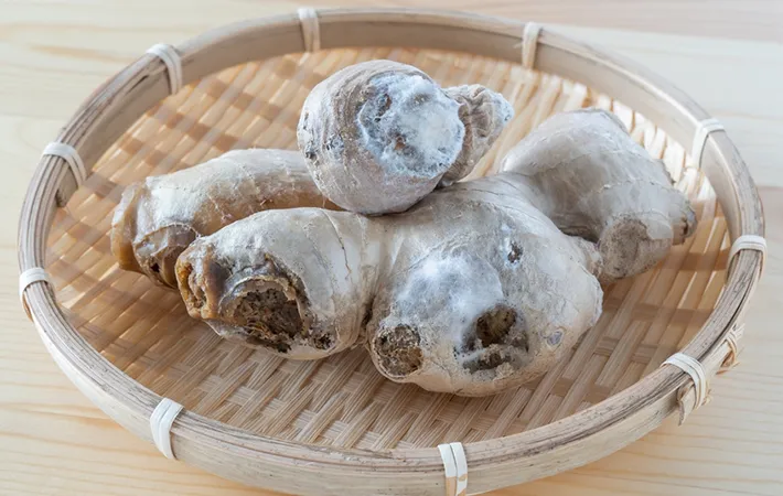 しいたけに白いふわふわ カビ？食べられる？対処法は？ - Fily