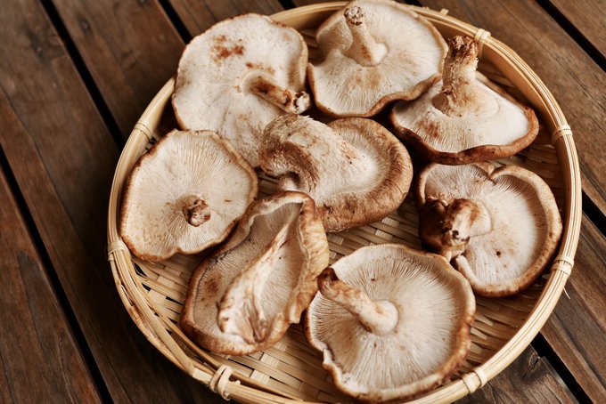 しいたけに発生した白いカビのようなものは食べられるの