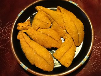 キャベツウニについて - 神奈川県ホームページ