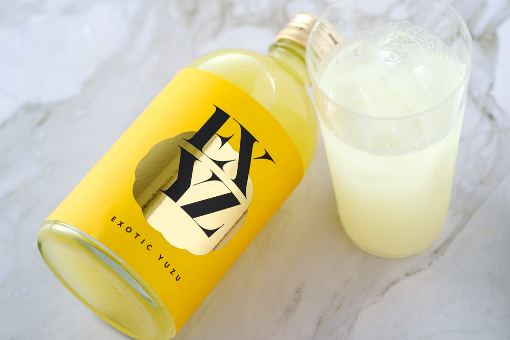 ゴーゴーカレー さきいか 13袋セット イカ おつまみ お酒のお供 スナック おやつ お土産 特産品 ギフト プレゼント 石川 金沢 加賀百万石 加賀百万石 北陸 北陸復興 北陸支援 - 石川県金沢市ふるさとチョイス - ふるさと納税サイト