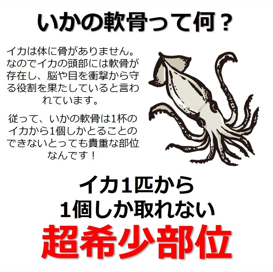 楽天市場 国産 いか軟骨 500g するめいか 冷凍 生食可能いかなんこつ スルメイカ 冷凍いか お刺身 生食 生 おつまみ いか イカ 烏賊イカナンコツ 生 魚介類 シーフード 真いか 冷凍イカ 業務用 お取り寄せ : 魚問屋 鯖陣