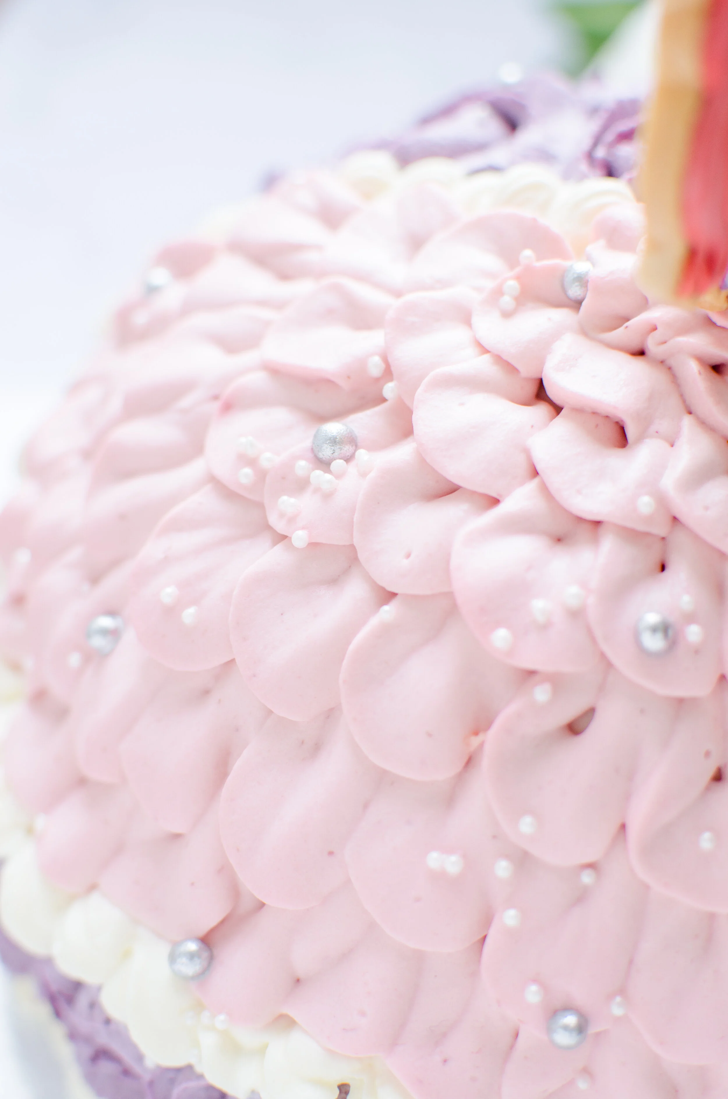 リトルマーメイド「4種の木の実ケーキ」パッケージデザインears