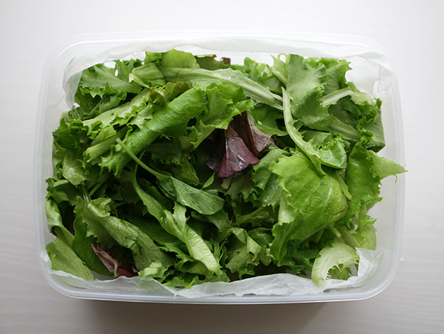 長持ちする！野菜の保存方法 冷蔵庫収納- YouTube