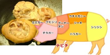 足ティビチ 足てぃびち とは沖縄方言辞典 あじまぁ