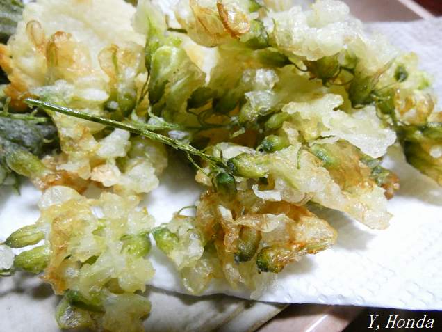 아까시나무 꽃 튀김