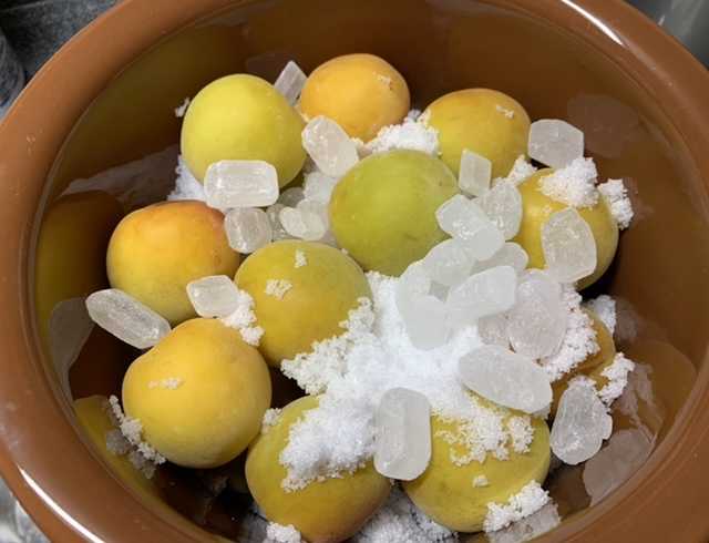 栗原はるみさん 氷砂糖入り「梅干し」の作り方＊インスタで話題の白干梅干好きなものに囲まれた暮らし