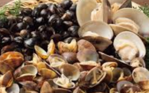 ハマグリとアサリいろいろあるけど、やっぱり台湾