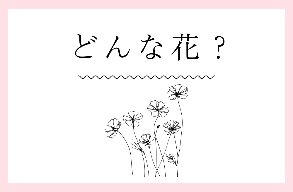 ピーマンの花 32171000233 の写真・イラスト素材アマナイメージズ