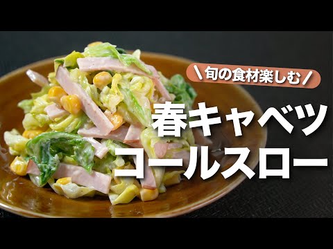 キャベツがおいしいサラダ！コールスローの基本レシピ