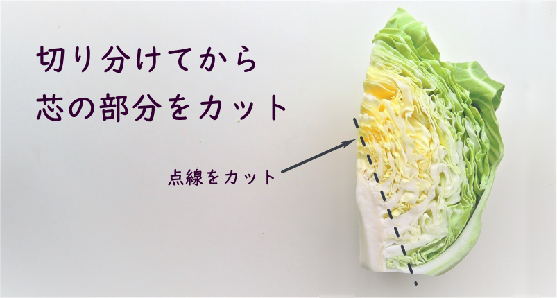 キャベツの芯」は捨てずに料理に！硬い芯が美味しく変身するレシピ。葉より甘みがあって実は美味kufura クフラ 小学館公式