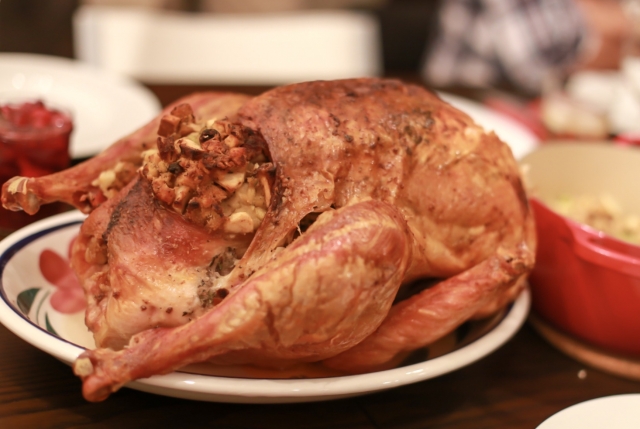 シチメンチョウの名前の由来や味・生態についてのまとめ