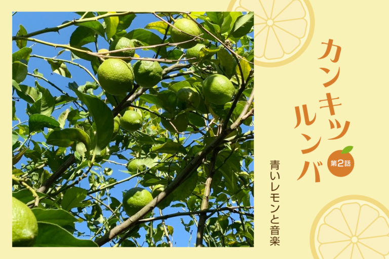 完熟すだちの意外な使い道！風味を活かす絶品レシピ＆保存方法