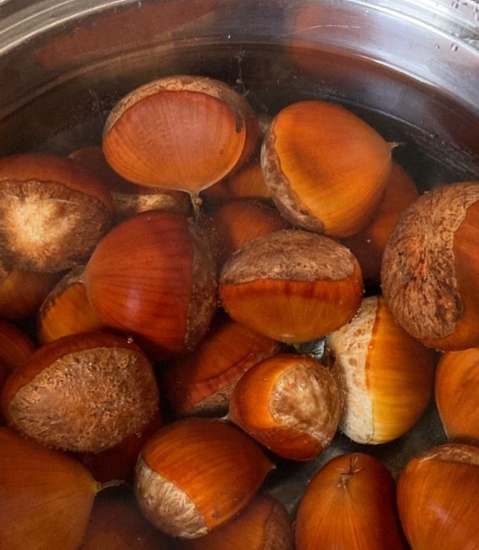 拾って食べてはいけないもの - 朝時間.jp