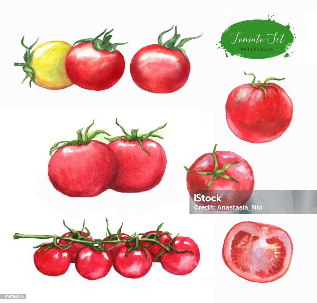 黄色と赤色のすいか 食べ物・飲み物 その他一般・装飾 の無料イラスト介護アンテナ