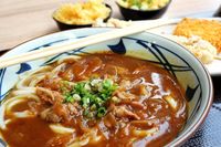うどんの変色して茶色になっても食べられる？賞味・消費期限についても解説