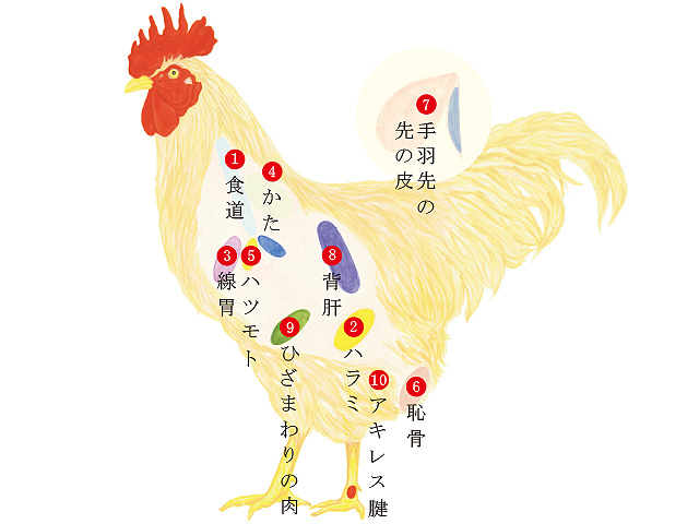鳥貴族、焼鳥屋の本気！｢鶏肉部位フェア｣を期間限定で開催外食産業ニュース一覧:トピックス外食産業の活性化を支援するサイト