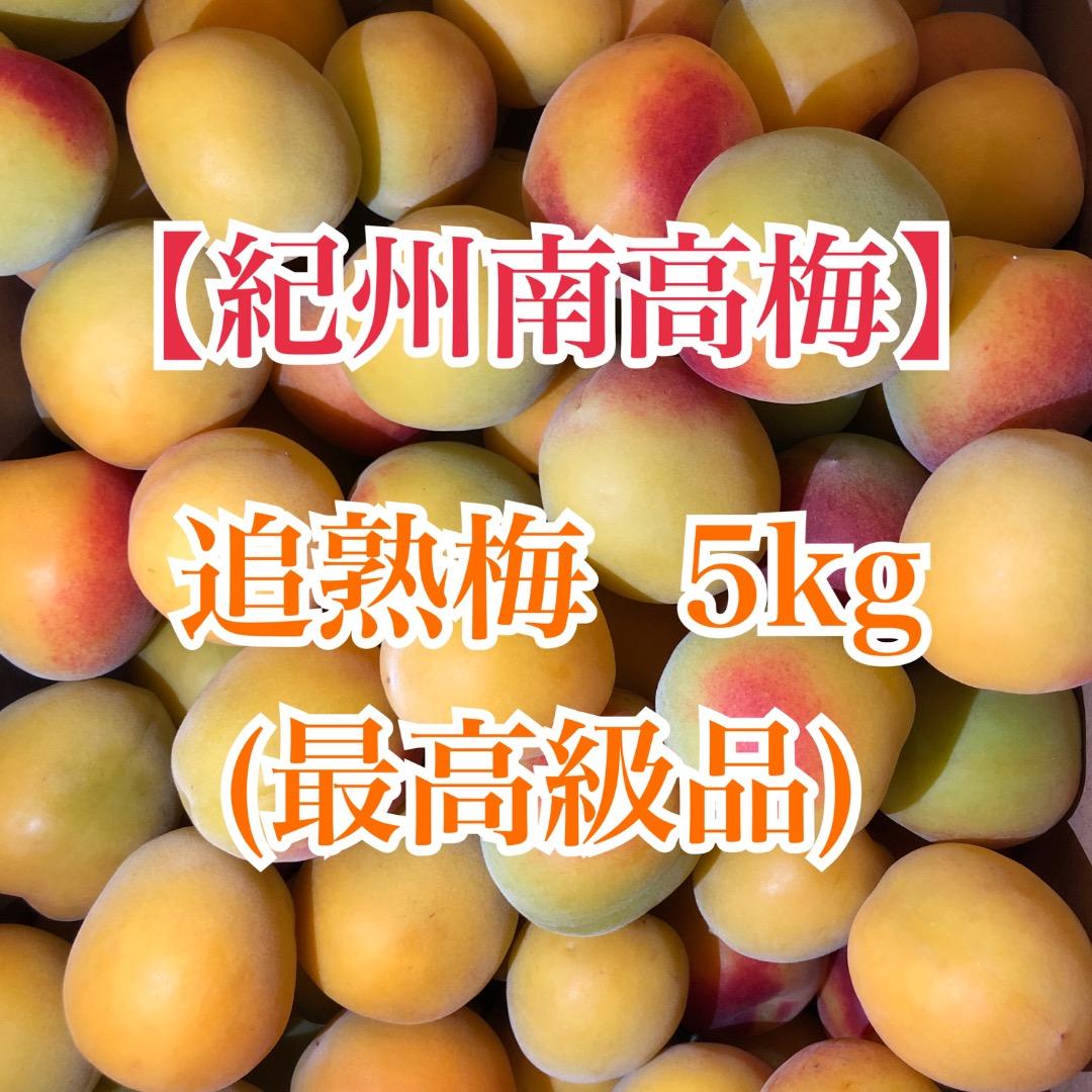 梅の追熟のやり方。青梅を完熟梅にする簡単な方法とコツを紹介。 - LIFE.net