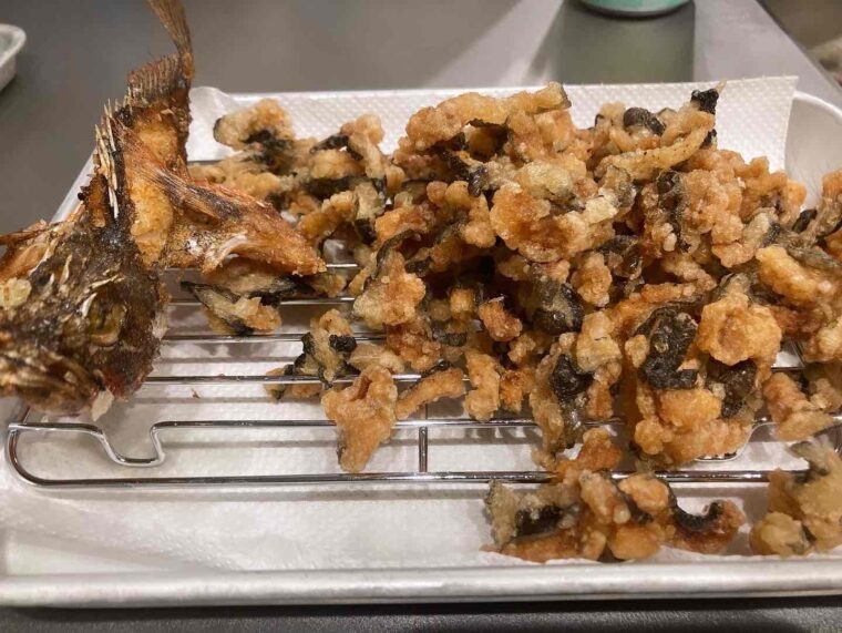 ウツボが美味しい季節が終わった平坂寛のフィールドノート