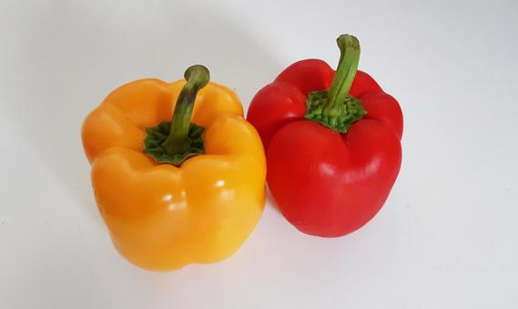 おしゃれ野菜イラスト無料イラスト・フリー素材なら「イラストAC」