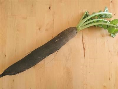 黒大根業務用食材の仕入れなら八面六臂